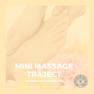 Mini massage traject
